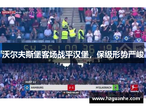 沃尔夫斯堡客场战平汉堡，保级形势严峻
