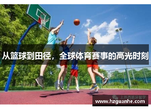 从篮球到田径，全球体育赛事的高光时刻